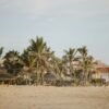 Tranquil beach scene with palm trees and villas at Casa Cyrene, Baja California Sur, Mexico.