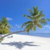 Breathtaking tropical beach scene in the Maldives with palm trees and serene blue waters.