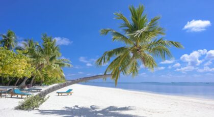 Breathtaking tropical beach scene in the Maldives with palm trees and serene blue waters.
