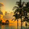 Breathtaking sunset over tropical beach with palm trees and ocean view, capturing serene beauty.